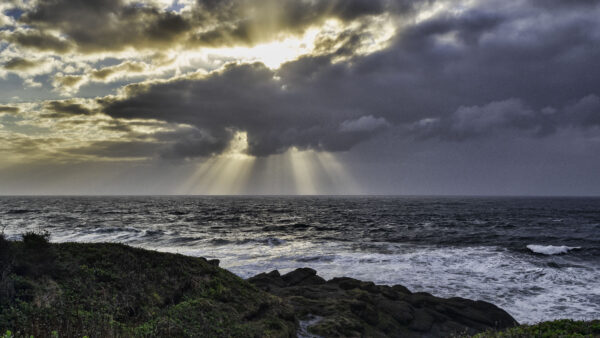 Wallpaper Sky, Waves, Desktop, Mobile, Blue, Nature, Rocks, Beautiful, Coast, Bushes, Sea, Sunrays, Stones