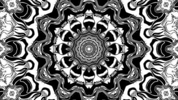 Wallpaper Abstract, Black, Fractal, Circles, Lines, White, Abstraction