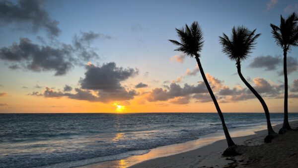 Wallpaper Blue, Nature, Under, Beach, Sand, Palm, Trees, Clouds, During, Waves, Sky, Ocean, Sunset