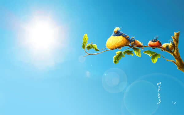 Wallpaper Birds