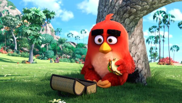 Wallpaper Movie, 2016, Birds, Animation, Angry