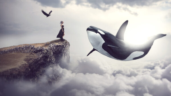 Wallpaper Fantasy, Whale