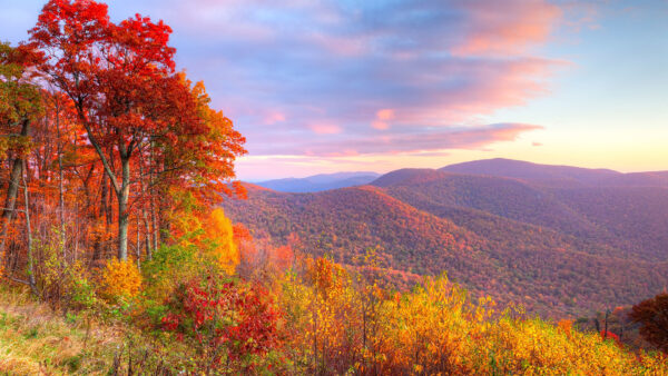 Wallpaper Under, Blue, Nature, Cloudy, Covered, Trees, View, Landscape, Mountains, Sky, Autumn