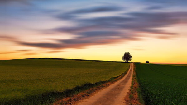 Wallpaper Nature, Mobile, Between, Green, Grass, Black, Cloudy, Path, Sky, Desktop, Sand, Under