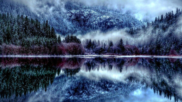 Wallpaper Covered, Trees, With, Morning, Reflection, Nature, Water, Colorful, Time, Pine, Fog, During