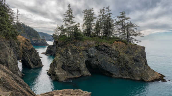 Wallpaper Nature, Forest, Sky, Trees, Under, Surrounded, Cloudy, Rock, Water