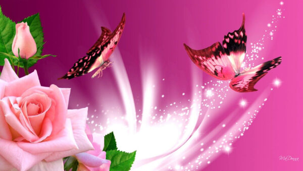 Wallpaper With, Butterfly, Pink, Roses, Background