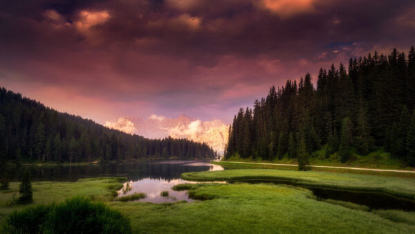 Wallpaper Lake, Under, Clouds, Green, White, Trees, Sky, Nature, Blue, Surrounded, Black, Grass