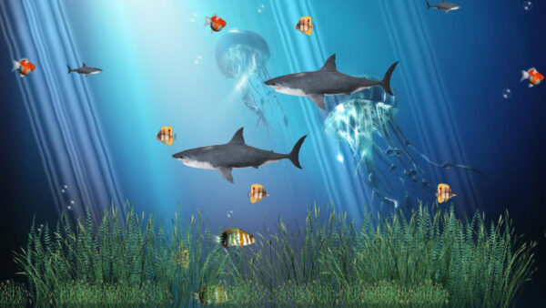 Wallpaper Colorful, Animated, Fishes, Underwater