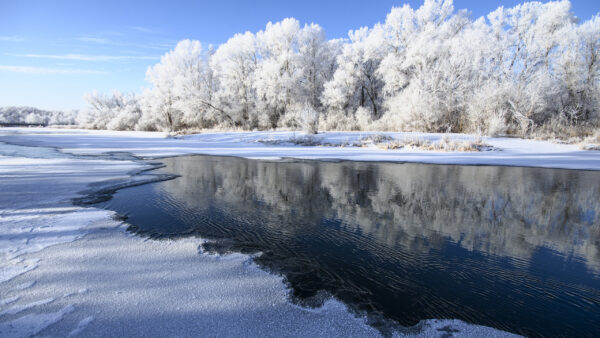 Wallpaper Winter, Trees, Blue, River, Water, Under, Covered, Frozen, Snow, Reflection, Sky