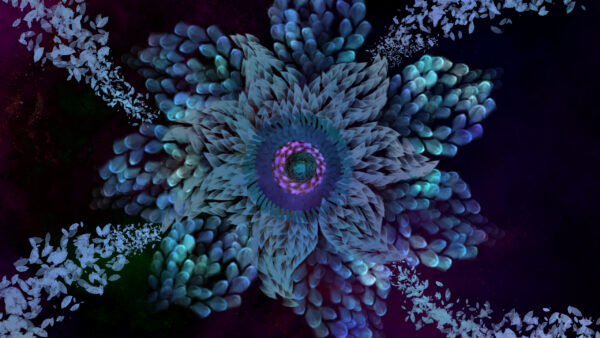 Wallpaper Abstraction, Abstract, Artistic, Blue, Fractal, Flower, Purple