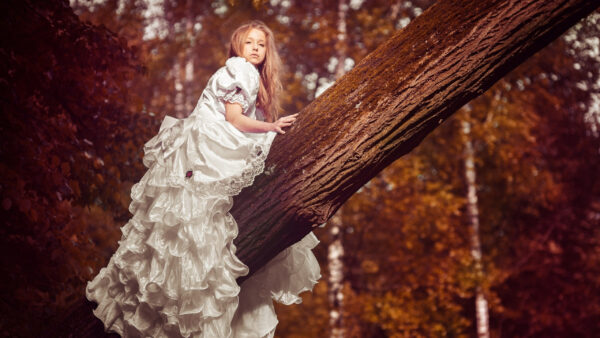 Wallpaper Dress, Wearing, Trunk, Tree, Little, Sitting, White, Cute, Girl, Background, Leaves, Blur