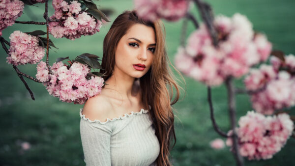 Wallpaper Wearing, Branches, Standing, Near, Light, Girls, Flowers, Tree, Model, Dress, Grey, Pink, Blossom, Beautiful, Girl