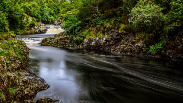 Wallpaper Algae, Trees, Nature, Stream, Green, Water, River, Forest, Between, Rocks, Covered