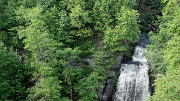 Wallpaper From, Trees, Nature, Between, Rocks, Background, Waterfalls, Green, Forest