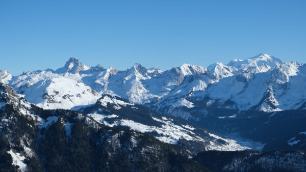 Wallpaper During, Blue, Forest, Daytime, Sky, Slope, Background, Mobile, With, Spruce, Mountains, Desktop, Trees, Snow, Green