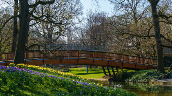 Wallpaper Bridge, Grass, Trees, Landscape, Above, River, Field, View, Green, Nature