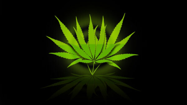 Wallpaper Green, Black, Reflection, With, Leaves, Weed, Background