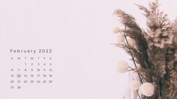 Wallpaper Flowers, Background, 2022, Pink, Calendar, February, Light