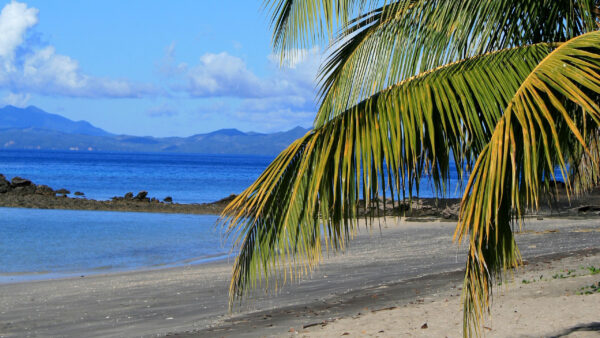 Wallpaper Palm, Sand, Ocean, Landscape, Tree, Sky, Nature, Blue, Under, Sea, Branches, Mountains, View, And, Beach, Coast