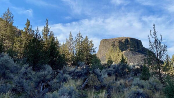 Wallpaper Daytime, Stones, Under, Rocks, Grass, Trees, Nature, Clouds, White, Sky, Blue, During, Bushes