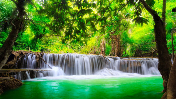 Wallpaper Background, Desktop, Thailand, Waterfall, River, Beautiful, Mobile, Green, Nature, Kanchanaburi