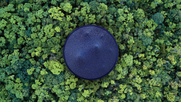 Wallpaper Forest, Aerial, View