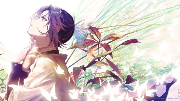 Wallpaper Background, Anime, With, Plants, Shinobu, Slayer, Kochou, Demon, Desktop