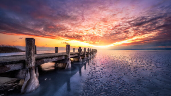 Wallpaper During, Sunset, Wood, Lake, Between, Nature, Beach, Dock, Pier