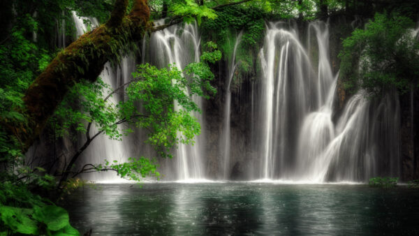 Wallpaper Waterfall, Nature, The, Forest, Vegetation, Desktop