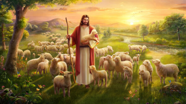 Wallpaper Lambs, With, Stick, Green, Jesus, Grass, Sheep