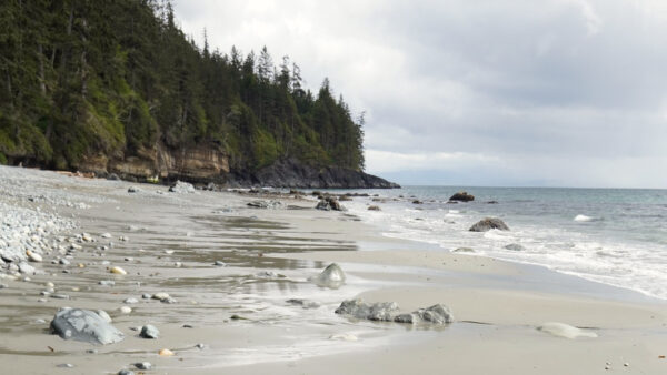 Wallpaper Desktop, Beach, Sky, White, Nature, Green, Mobile, Sand, Trees, Stones, Forest