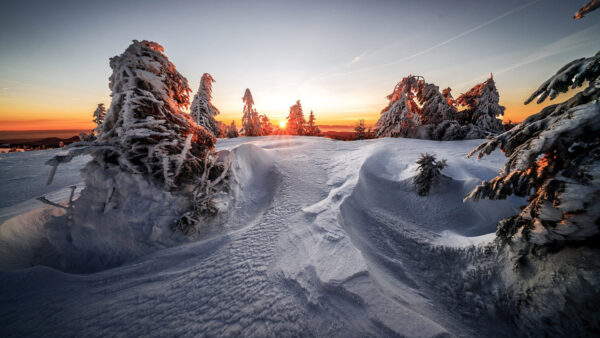 Wallpaper Desktop, And, During, With, Sunrise, Snow, Winter, Landscape, Trees, Sky, White, Covered, Under