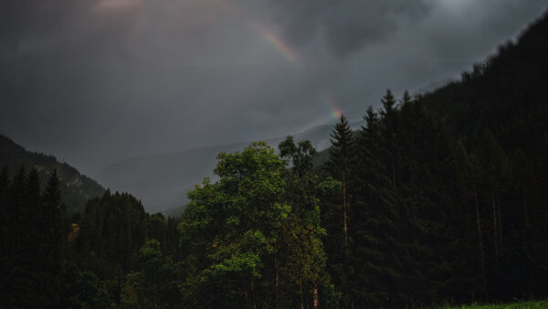Wallpaper Mobile, Fog, Desktop, Rainbow, Nature, Mountains, Green, Trees, Forest