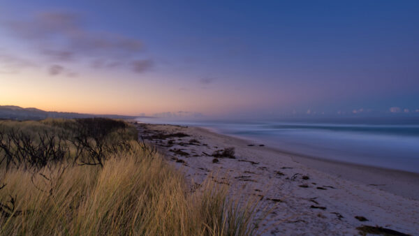 Wallpaper Ocean, Dry, Beach, Waves, Sand, Sky, Under, Grass, Green, Blue