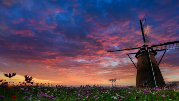 Wallpaper Windmill, Flowers, White, Clouds, Black, Travel, Under, Sky, Blue, Purple, Field
