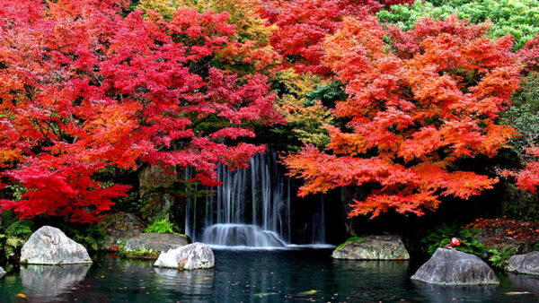 Wallpaper Orange, Pond, Yellow, Trees, Red, Beautiful, Waterfalls, Leaves, Green, Autumn, Stones