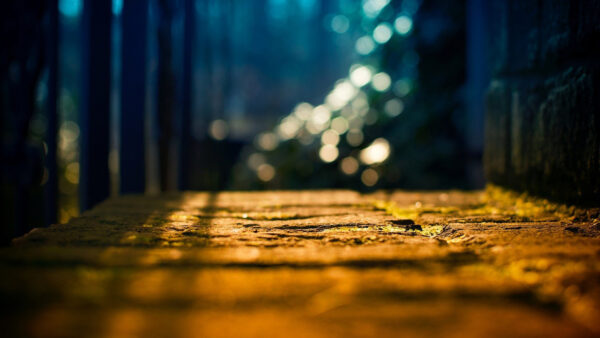 Wallpaper With, View, Path, Sunrays, Closeup, Bokeh, Background, White
