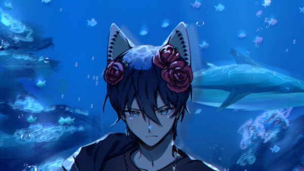 Wallpaper Roses, Background, Red, Anime, Ears, Boy, Blue, Sky