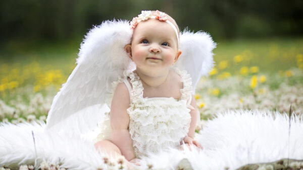 Wallpaper Baby, Field, Child, Cute, And, Grass, Sitting, Yellow, Flowers, Blur, Green, Wearing, Dress, White, Girl, Wings, Background