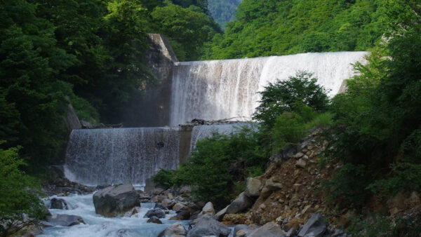 Wallpaper Scenery, Waterfall, Background, Forest, Green, Cascade, Between, Nature, Trees, Beautiful