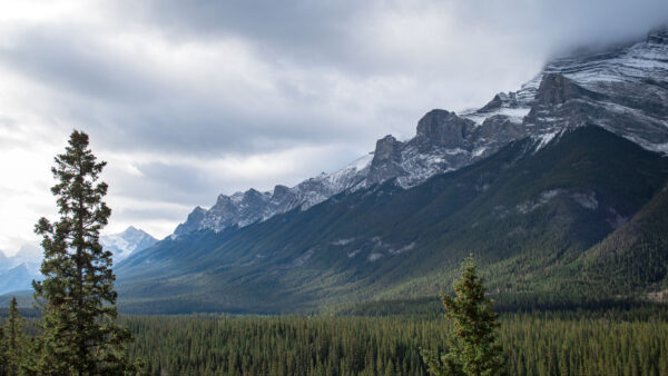 Wallpaper Under, Nature, Greenery, Sky, Snow, Mobile, Desktop, With, Forest, Mountains, Clouds, Trees