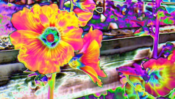 Wallpaper Trippy, Glare, Shape, Flower, Pink, Yellow