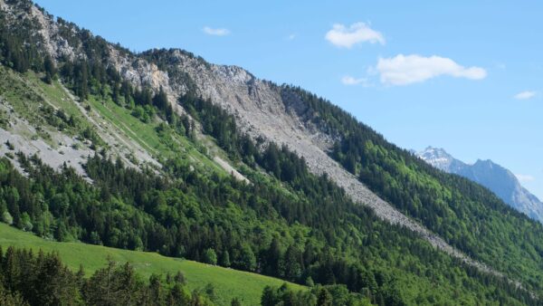 Wallpaper Slope, Rock, Trees, Sky, Bushes, Field, Mountains, Grass, Nature, Blue, Forest, Background, Desktop, Mobile