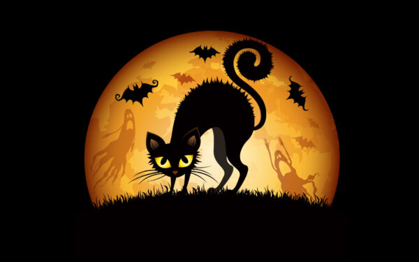 Wallpaper Cats, Bats, Halloween