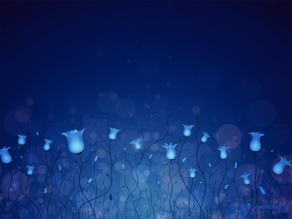 Wallpaper Lighting, Blue, Flowers