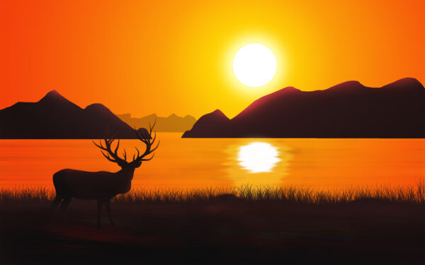 Wallpaper Silhouette, Deer, Sunset