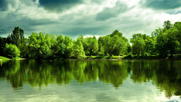 Wallpaper Landscape, Front, Trees, Cloudy, Nature, With, Daytime, Mobile, Lake, Green, During, Desktop