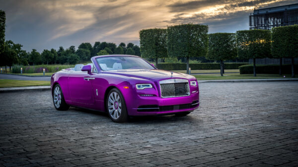 Wallpaper Fuxia, Rolls, Dawn, Royce