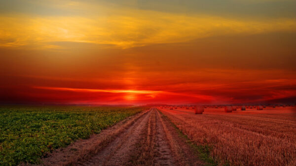 Wallpaper Pc, Mobile, Cool, 4k, Road, Field, Phone, Desktop, Wallpaper, Lonely, Sunset, Colorful, Images, Background
